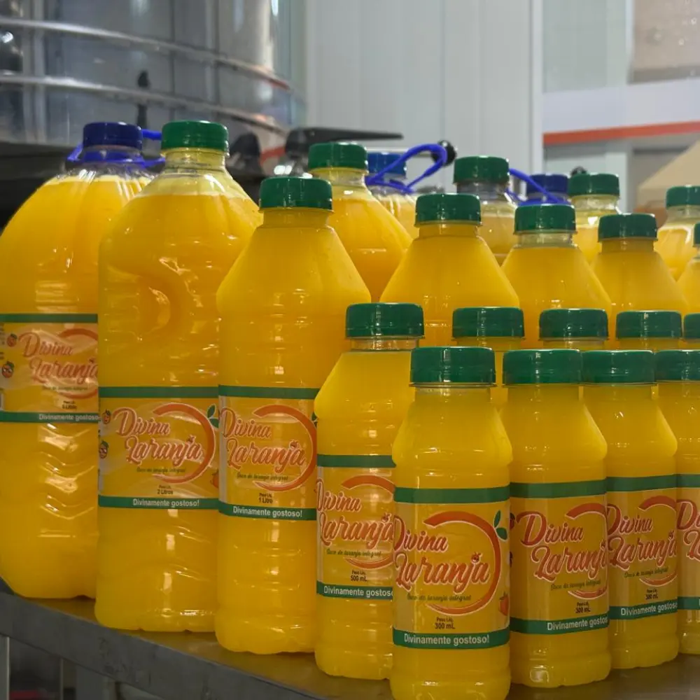 Garrafas de 300 ml a 5 L de suco integral Divina Laranja