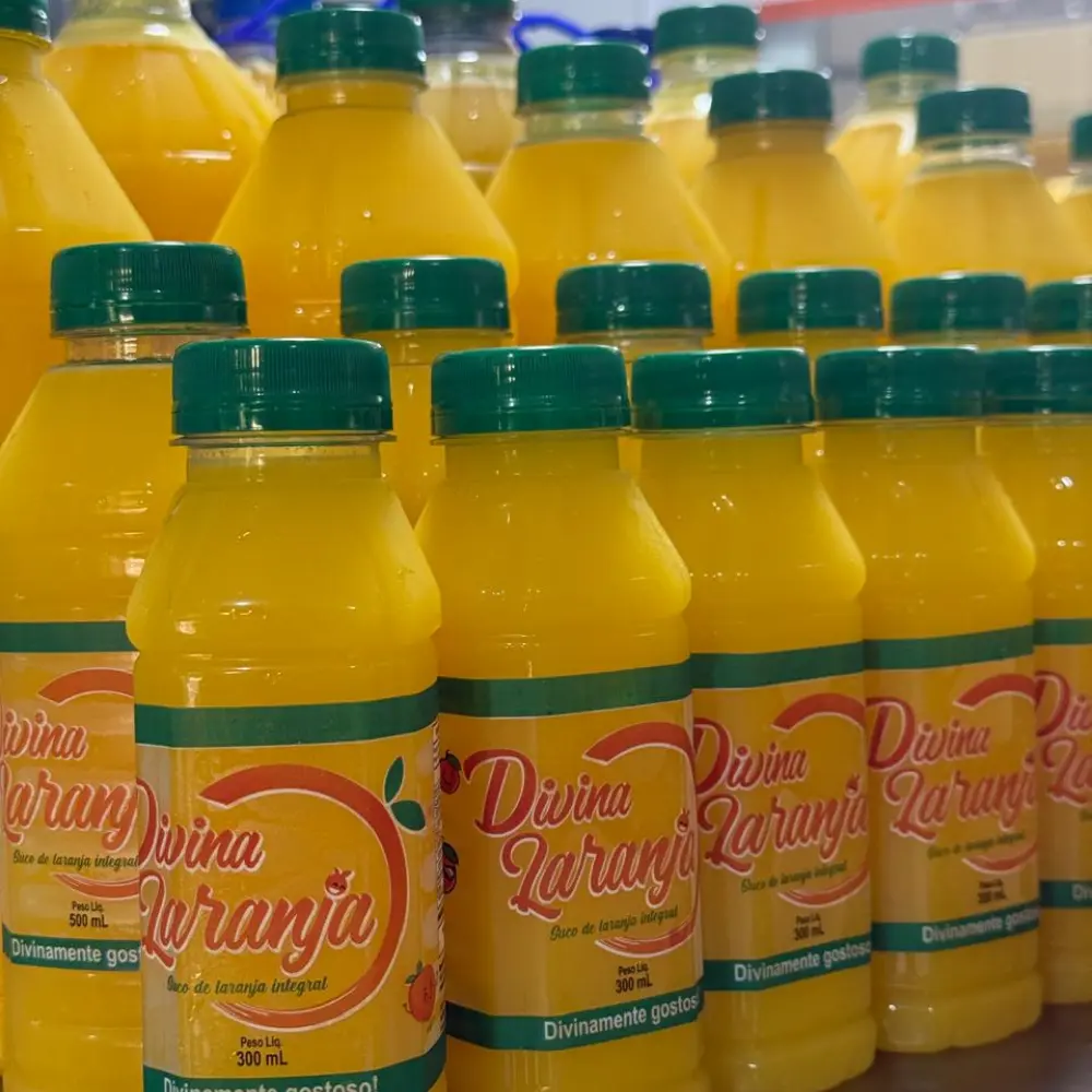 Linha 300 ml de suco integral Divina Laranja pronta para entrega